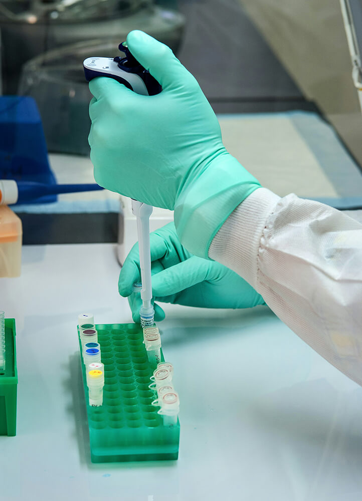 Person using pipette in laboratory